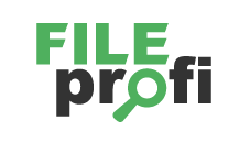FileProfi - профессиональное восстановление данных в Томске